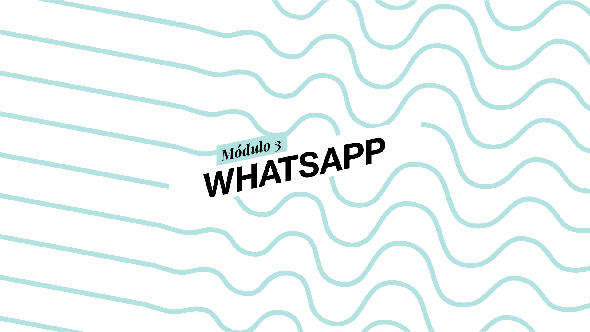 13. WhatsApp Business