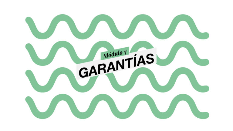 32. Términos, condiciones y garantías para vender en línea